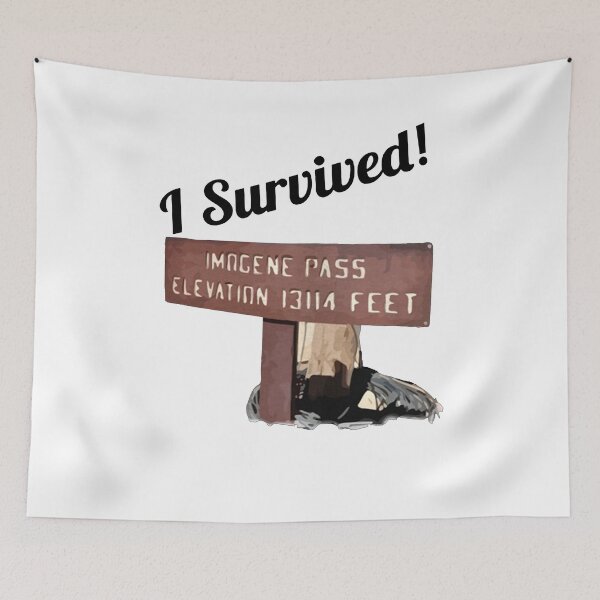 Item preview, I Surviived Imogene Pass Classic Guys Unisex Tee Basic designed and sold by NKFLFE.