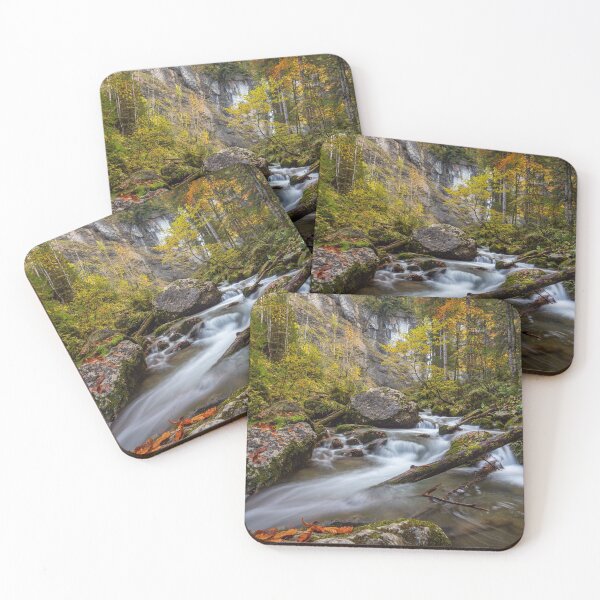 Item preview, Leuenfall designed and sold by Nadine Küng Art.