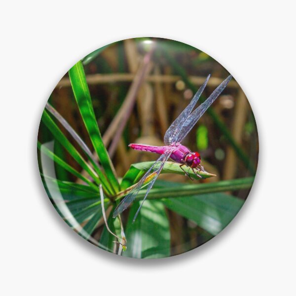 Item preview, Purple Dragonfly designed and sold by darren-j-mcleod.