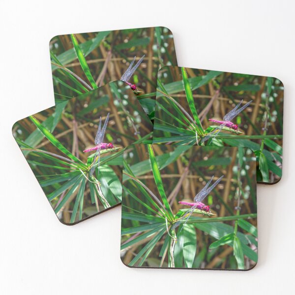 Item preview, Purple Dragonfly designed and sold by darren-j-mcleod.