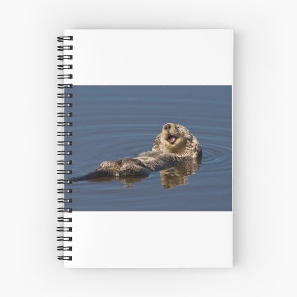 Item preview, sea otter designed and sold by David Chesluk.