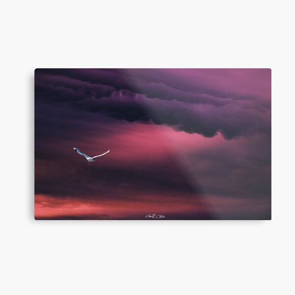 Sunset over the Coomera River from Sanctuary Cove. Metal Print
