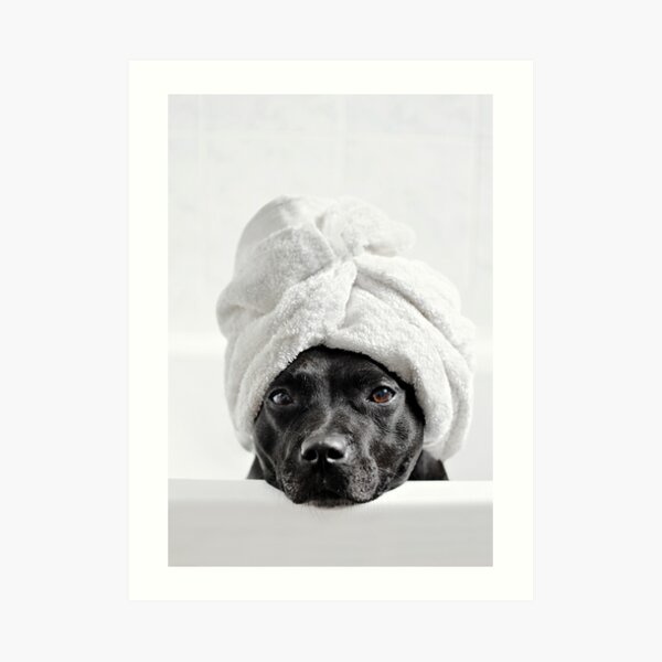 Bath Time Art Print