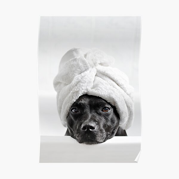 Bath Time Poster