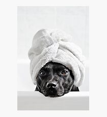 Bath Time Photographic Print