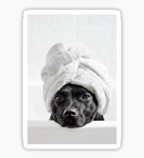 Bath Time Sticker