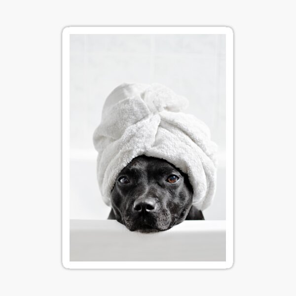 Item preview, Bath Time designed and sold by Michelle McMahon.