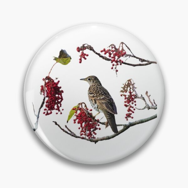 Item preview, The tabby thrush (scientific name: Zoothera dauma) is a bird of the thrush genus in the thrush family, commonly known as the tiger thrush, the dun thrush, and the tiger thrush. designed and sold by zenger2021.