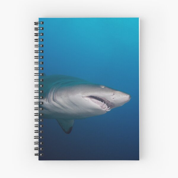 Item preview, Sand Tiger Shark Teeth designed and sold by Brent Barnes.