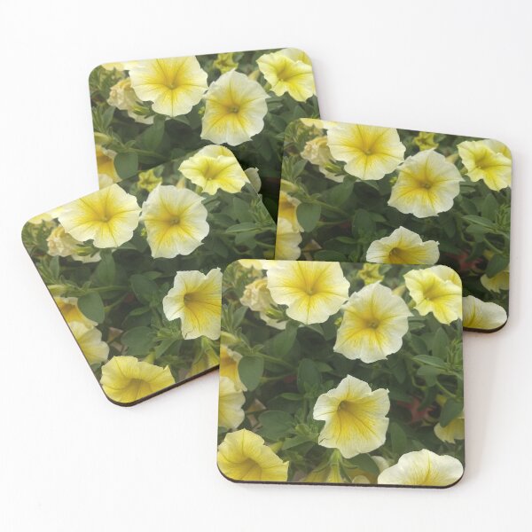Aperçu de l'œuvre Belles fleurs blanches et jaunes créée et vendue par Freedom Homestead.