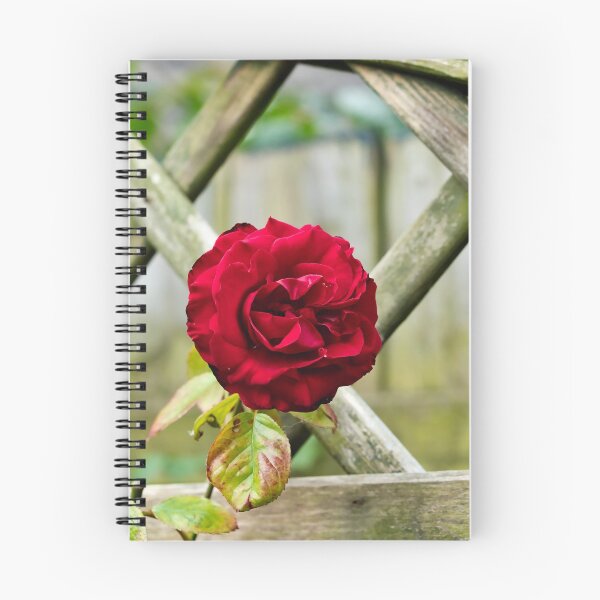 Item preview, Vibrant Rose designed and sold by vaska00762.