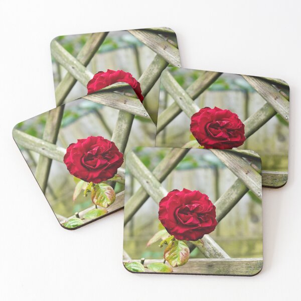 Item preview, Vibrant Rose designed and sold by vaska00762.