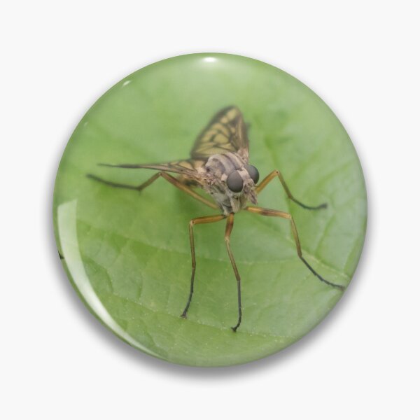 Item preview, Fly Macro designed and sold by LaurenTucker.