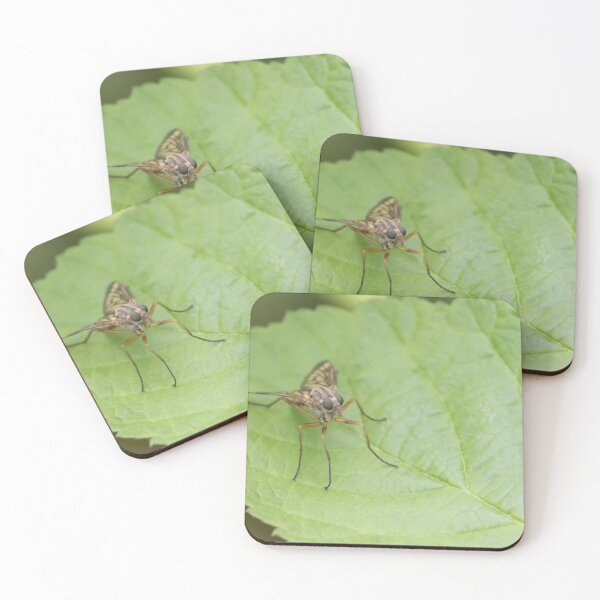 Item preview, Fly Macro designed and sold by LaurenTucker.