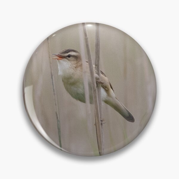 Item preview, Sedge Warbler designed and sold by LaurenTucker.
