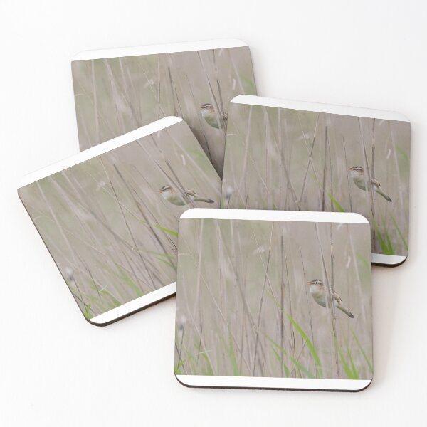 Item preview, Sedge Warbler designed and sold by LaurenTucker.