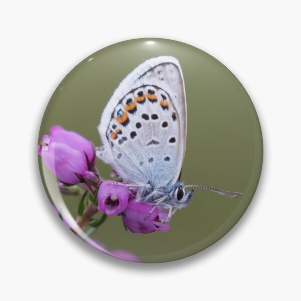 Item preview, Silver Studded Blue designed and sold by LaurenTucker.