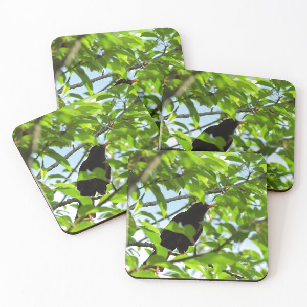 Item preview, Blackbird designed and sold by vaska00762.