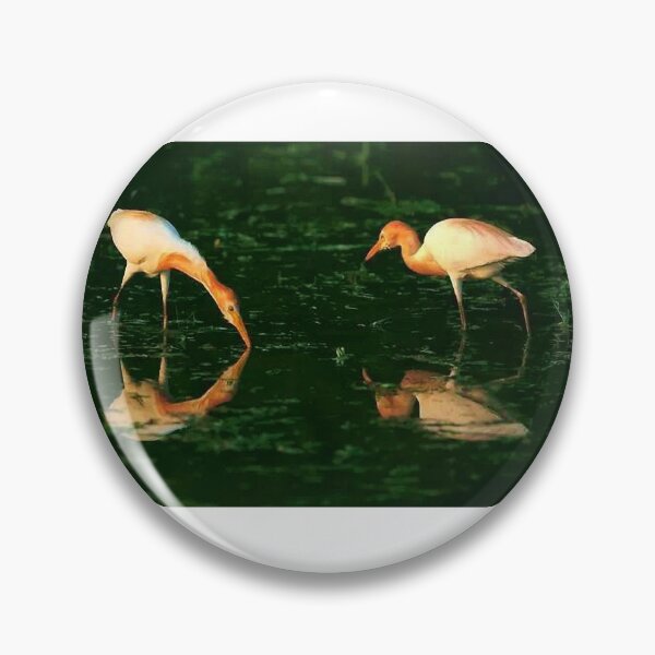 Item preview, Yellow-headed heron: Stork form, heronidae, wading water bird designed and sold by zenger2021.
