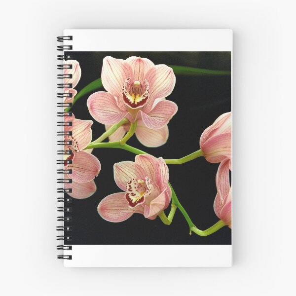 Item preview, pink orchids designed and sold by David Chesluk.