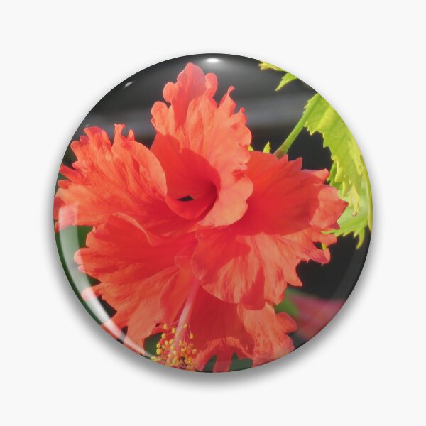 Item preview, Frilly hibiscus designed and sold by MaryAnnEnsz.