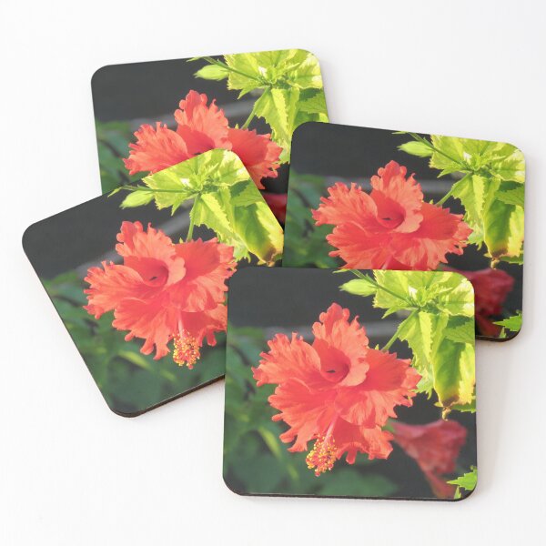 Item preview, Frilly hibiscus designed and sold by MaryAnnEnsz.