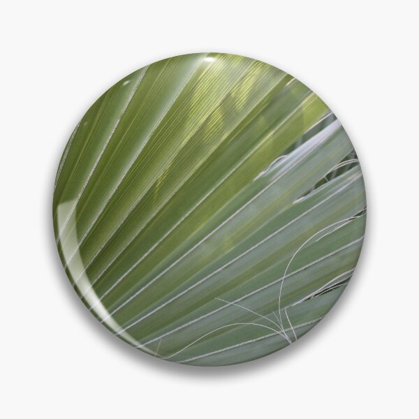 Item preview, Photographic Abstract Of Fan Palm With Fibrous Threads designed and sold by taiche.