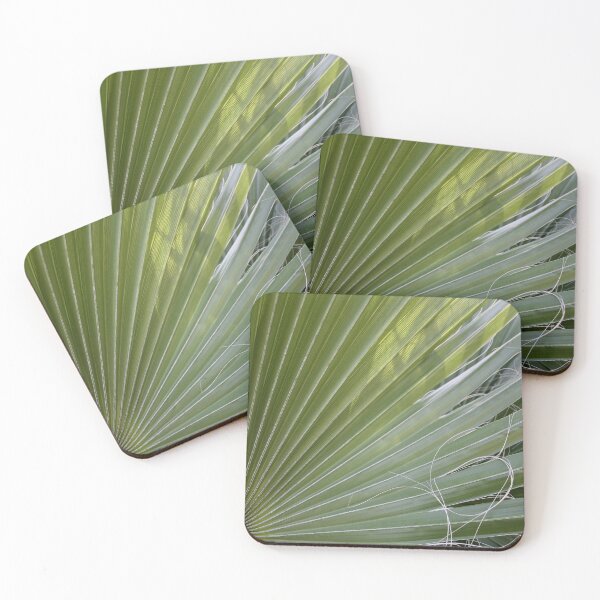 Item preview, Photographic Abstract Of Fan Palm With Fibrous Threads designed and sold by taiche.