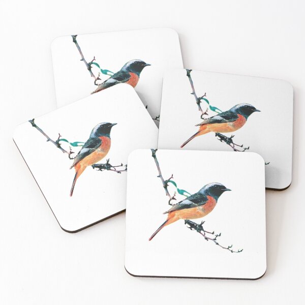 Item preview, Yellow-tailed Robin (Northern Red-tailed Robin) It is about 15cm in length and the size of a sparrow, but it is more beautiful than a sparrow designed and sold by zenger2021.