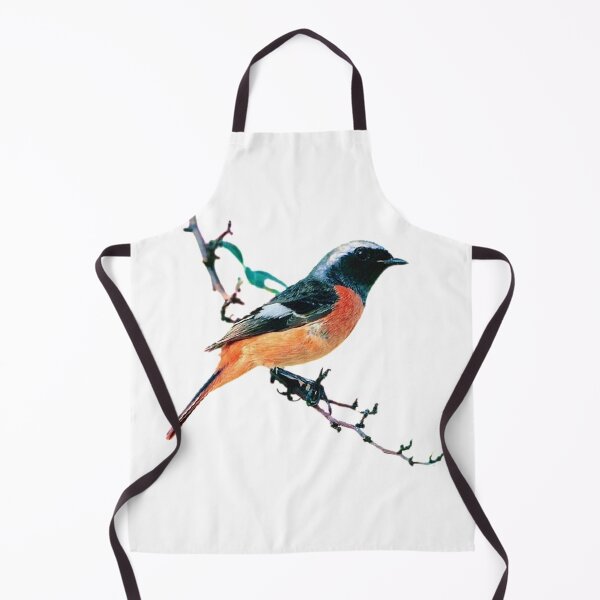 Item preview, Yellow-tailed Robin (Northern Red-tailed Robin) It is about 15cm in length and the size of a sparrow, but it is more beautiful than a sparrow designed and sold by zenger2021.
