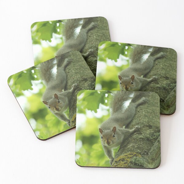 Item preview, Curious squirrel designed and sold by cjwarburton.