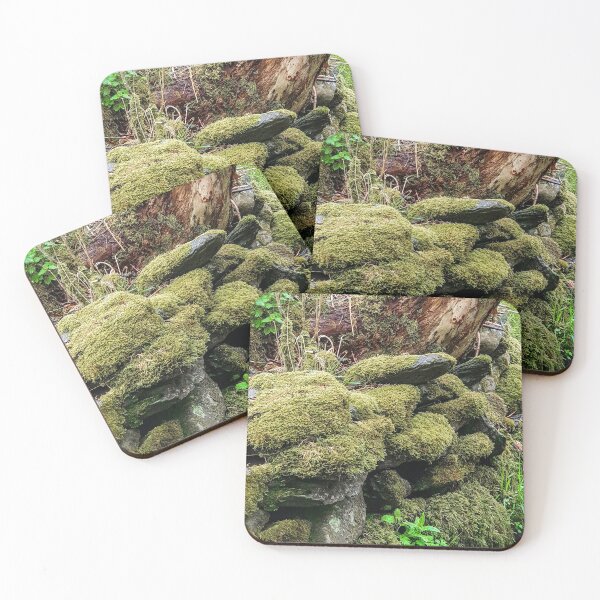 Item preview, Moss covered wall designed and sold by Anthony Hedger Photography.