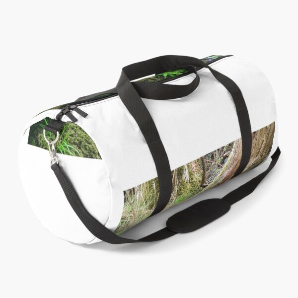 Item preview, Moss covered wall designed and sold by Anthony Hedger Photography.