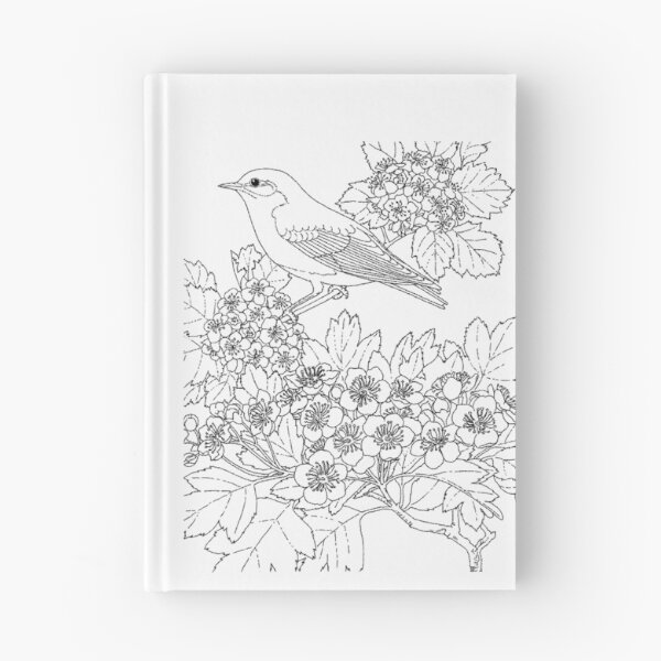Item preview, Plain Peter, Coloring Project.   designed and sold by Quill-n-Ink.