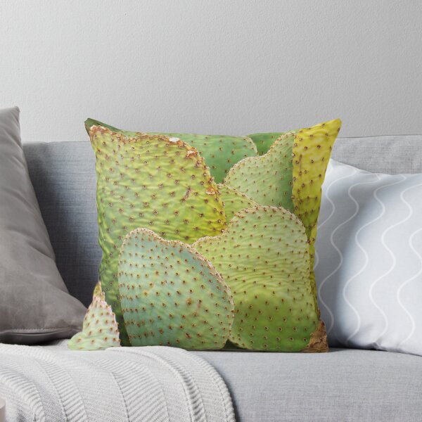 Item preview, Be My Cactus Valentine designed and sold by Alberto  DeJesus.