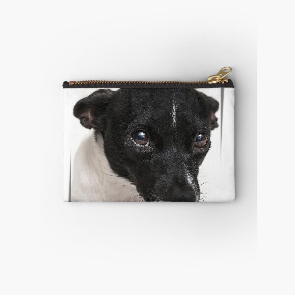 Item preview, chiquito for pet designed and sold by TKMENG-Shop.