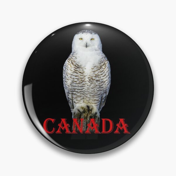 Item preview, Canadian Snowy Owl designed and sold by david parry.