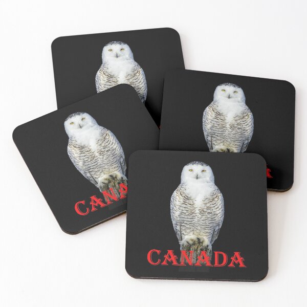 Item preview, Canadian Snowy Owl designed and sold by david parry.