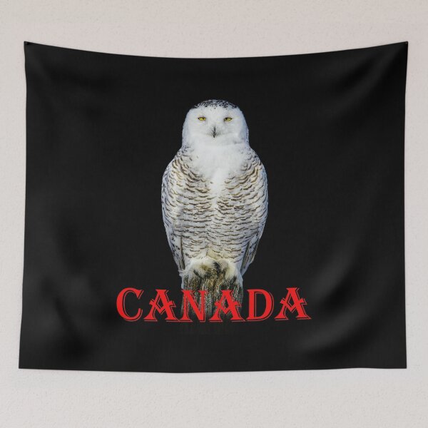 Item preview, Canadian Snowy Owl designed and sold by david parry.