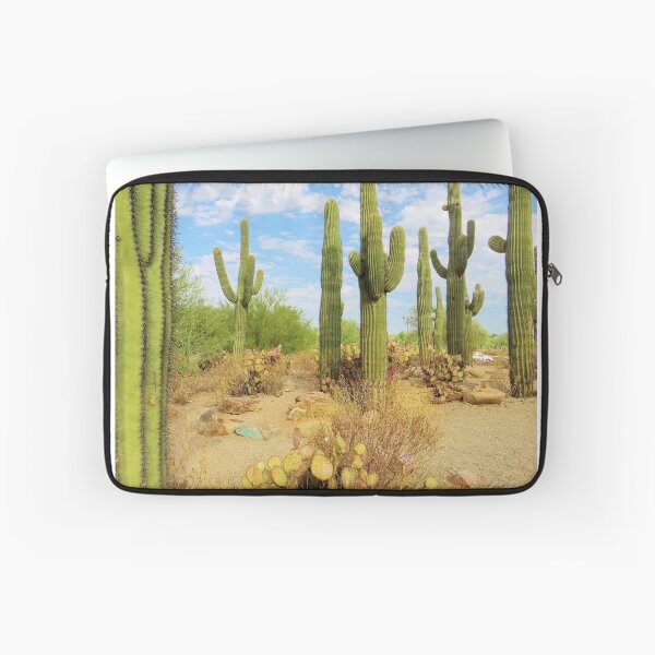 Item preview, Cactus designed and sold by Alberto  DeJesus.