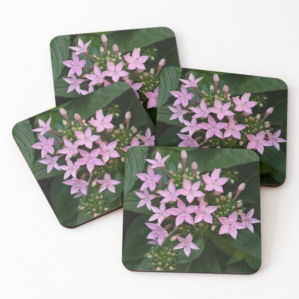 Item preview, Flowers Like Little Pink Stars designed and sold by Gerda Grice Photography.