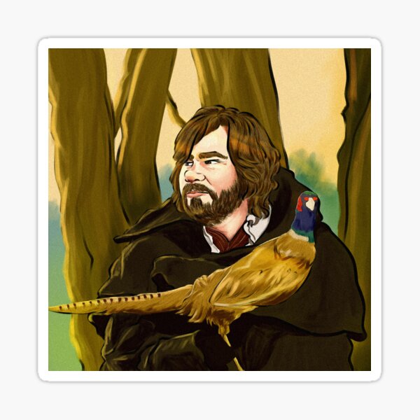 Aperçu de l'œuvre Matt Berry Sorcière créée et vendue par frippucino.