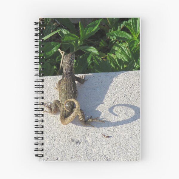 Item preview, Lorenzo the Curly tailed lizard designed and sold by MaryAnnEnsz.