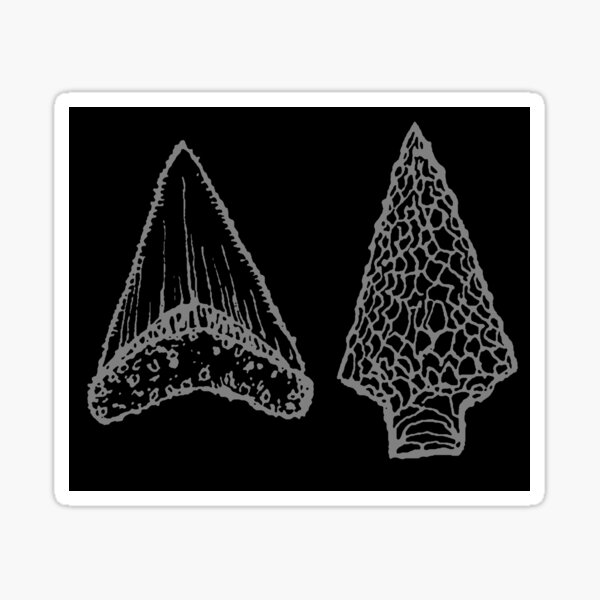 Sharks Tooth Arrowhead Sticker