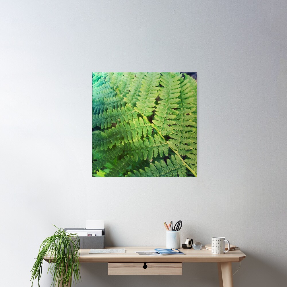 Fernly - Plant Lover Gift Poster