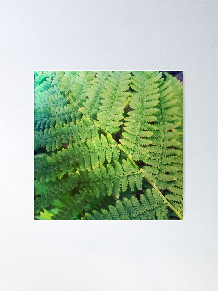 Alternate view of Fernly - Plant Lover Gift Poster