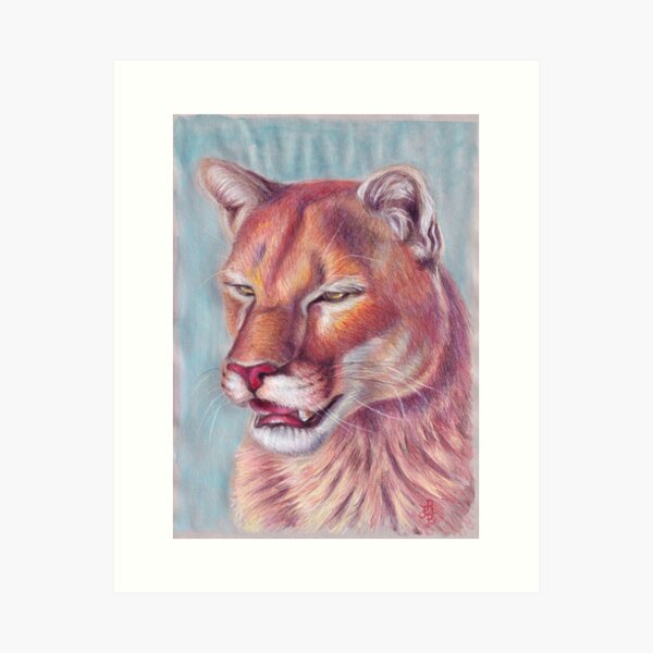Florida Panther Original Artwork by Artist Sherrie Spencer