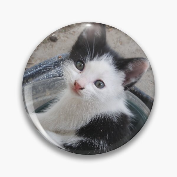 Item preview, kitten in a bowl designed and sold by Stephanie  Skeem.