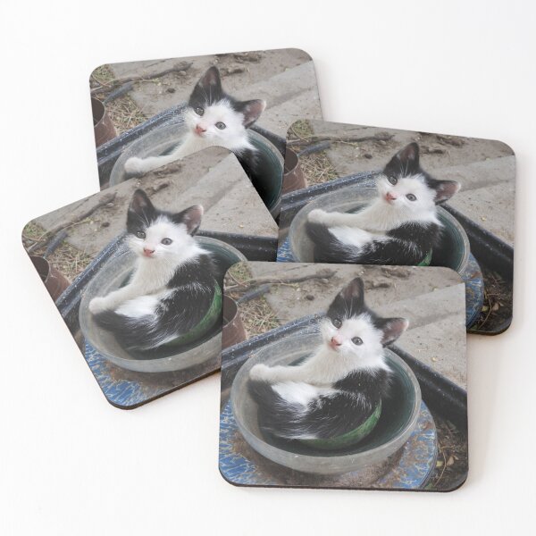 Item preview, kitten in a bowl designed and sold by Stephanie  Skeem.
