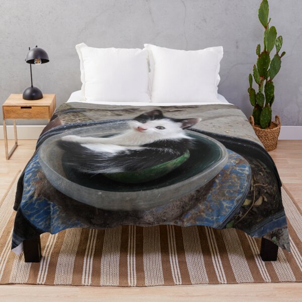 Item preview, kitten in a bowl designed and sold by Stephanie  Skeem.